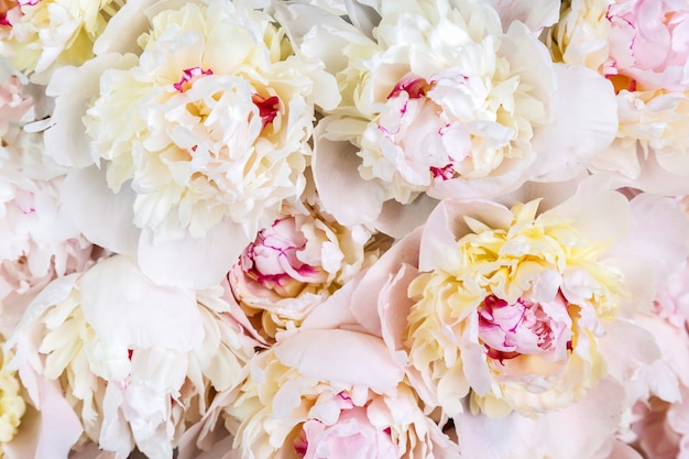 Top view of a bouquet of white peonies