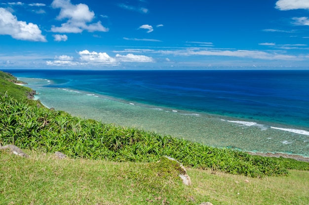 Top view of a breathtaking seascape with a deep blue waters full of coral reef Green vegetation on cliff