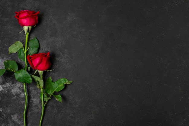 Foto mazzo di vista superiore di belle rose rosse