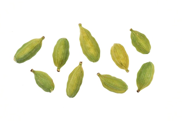 top view of cardamom isolated on white background with clipping path