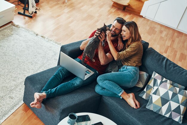 Top view of carefree young couple in casual clothing bonding with domestic cat and smiling while resting on the sofa indoors