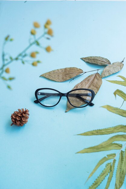 top view of cat eye glasses on pastel color background
light blue. green leaf