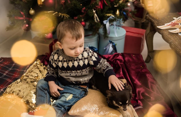 스웨터를 입은 백인 소년이 치와와 개가 있는 방에 있는 크리스마스 트리 근처에 앉아 있다