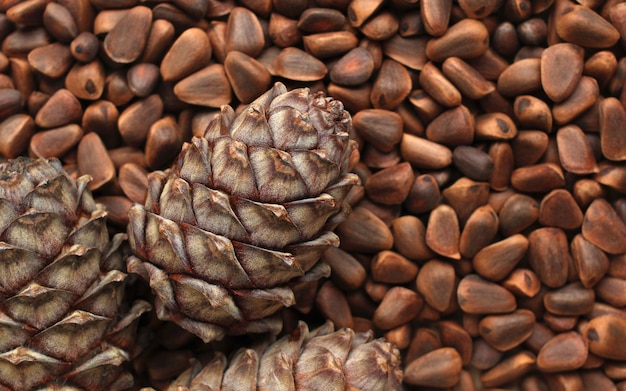 Top view of a cedar cone on the background of pine nuts