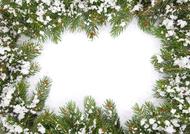 トップビューコーンと雪のクリスマスモミの枝