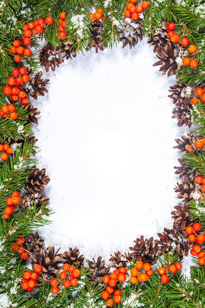 top view Christmas fir branches with cones