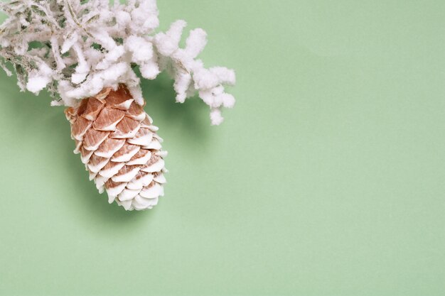 Top view Christmas and New Year decorations pine cone on a green background