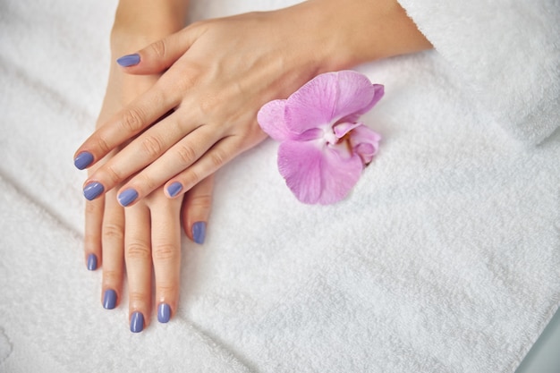 Top view close up of woman hands with blue polish on nails lying on white towel near pink orchid