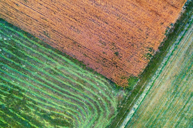 Top view of the colorful agriculture fields Rural nature background Top view of mown hay