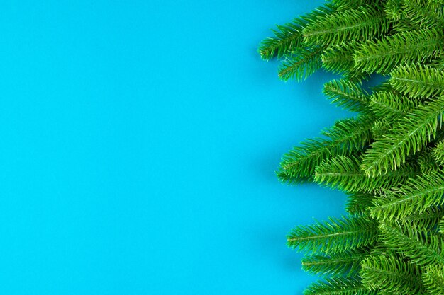 Top view of colorful background made of green fir tree branches New year holiday concept with copy space