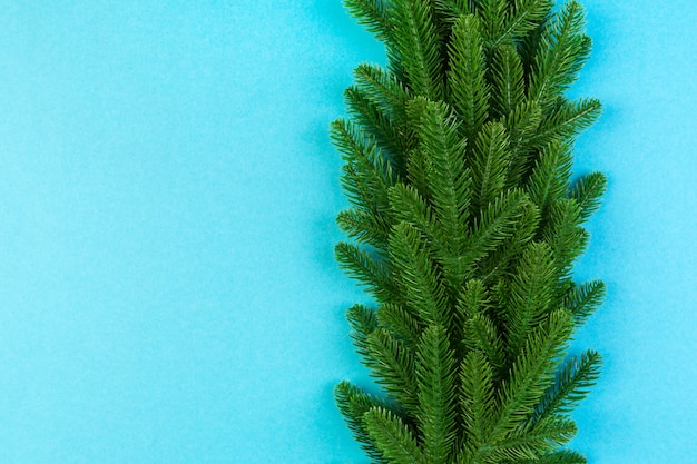 Top view of colorful festive made of fir tree branch. 