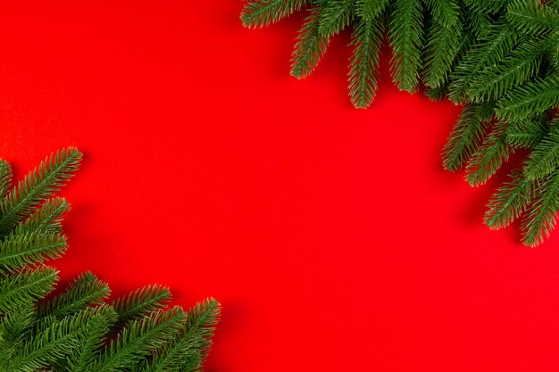 Top view of colorful made of green fir tree branches. 