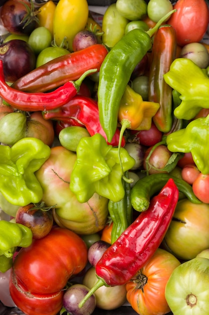 Top view on colorful organic vegetables tomatoes paprika and herbs Healthy food concept