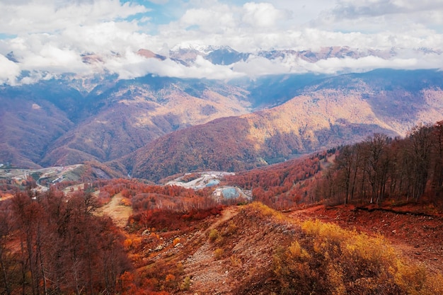 コーカサス山脈の色とりどりの木々の平面図