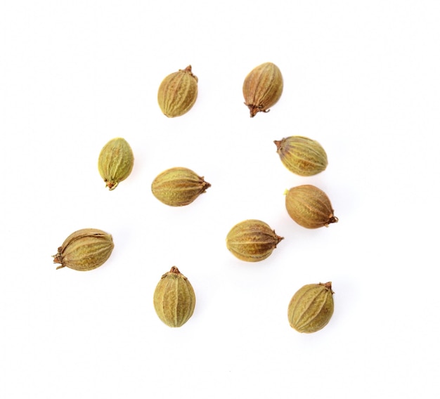 Top view of coriander seeds on white background