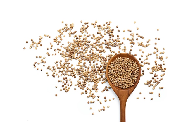 top view coriander seeds in a wooden spoon on white background with copy space