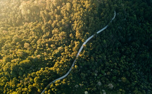 Top view of countryside road passing through the green forrest and mountain