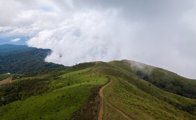 Vista dall'alto della strada di campagna che passa attraverso la foresta verde e la montagna