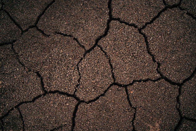 Photo top view cracked dry soil texture background mosaic pattern of sunny dry soil