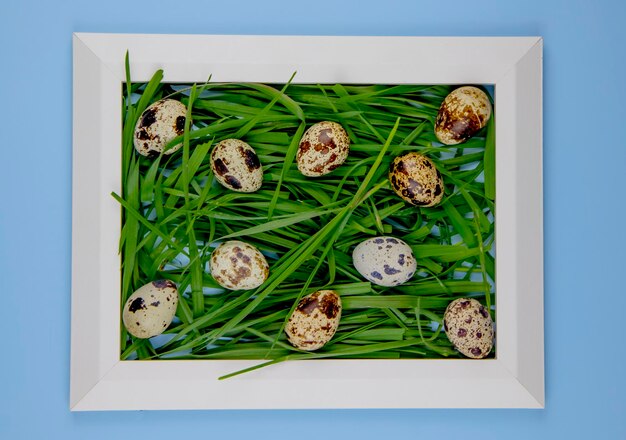 Top view of creative easter card in white frame with quail eggs and green grass