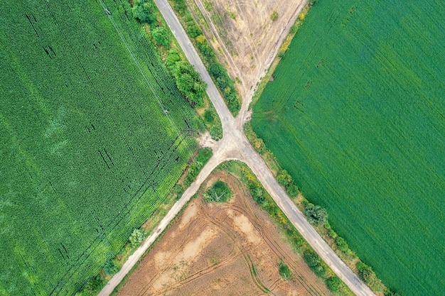 Vista dall'alto del crocevia delle strade di campagna sui campi agricoli coltivati paesaggio rurale estivo