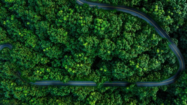 Vista superiore della strada curva nella foresta verde nella stagione delle piogge rotte rurali che collegano la città