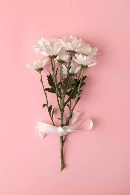 Top view daisies in studio arrangement