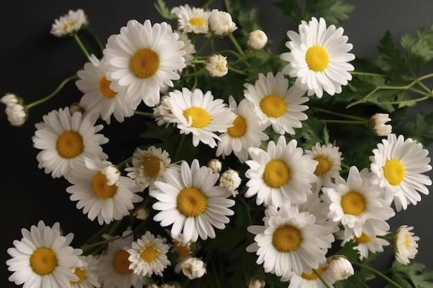 Top view daisy flowers generative ai