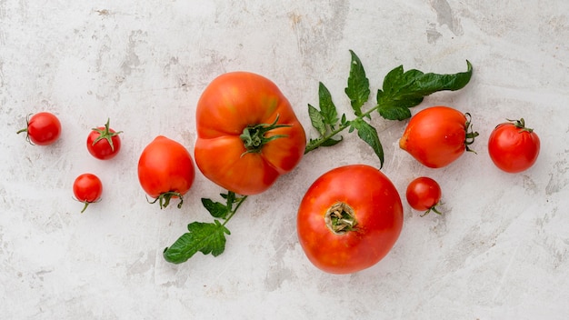 사진 상위 뷰 맛있는 토마토 배열