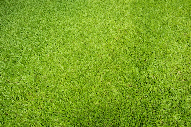 Top view and detail of turf floor at soccer field