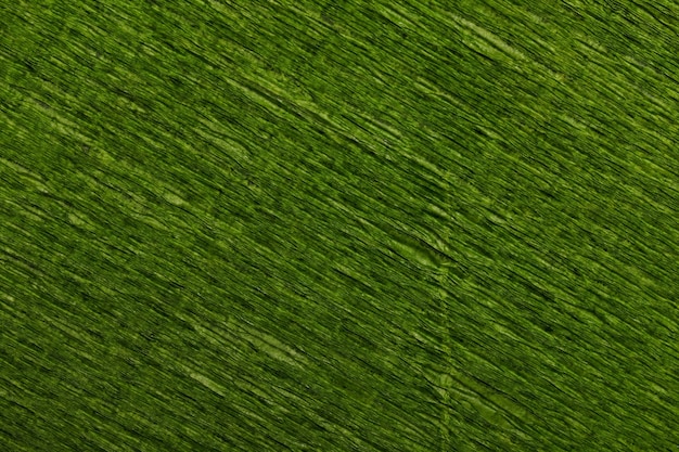 Photo top view detailed abstract green toned crepe paper texture or background