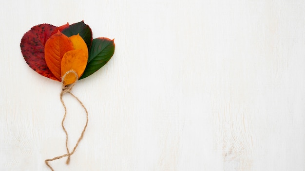 Photo top view of different colored leaves with copy space and string