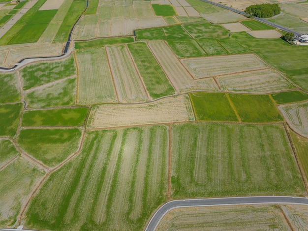 Photo top view of dongshan rice meadow in yilan of taiwan