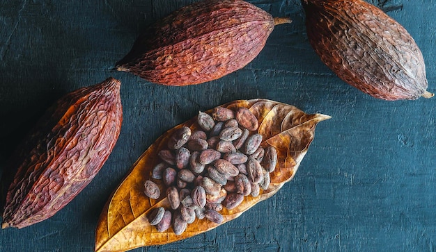 Top view of dried brown cocoa beans on cocoa leaves raw material for making chocolate