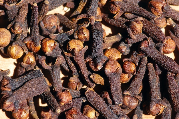 Top view of dried clove seeds, in shallow focus.