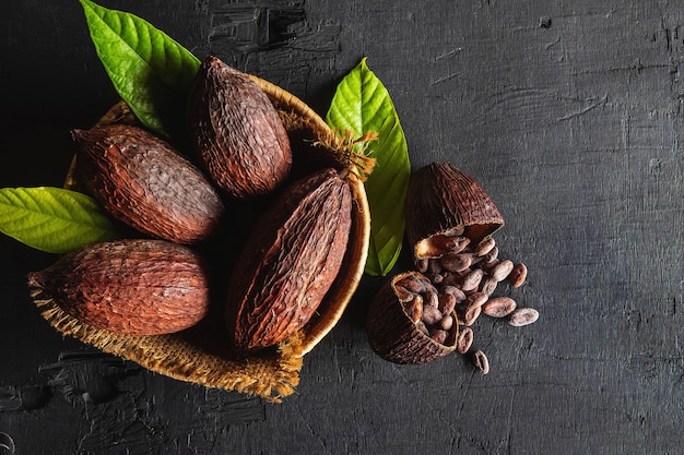 Top view Dried cocoa and cocoa beans