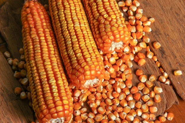 Top View Dried Corn on Wood