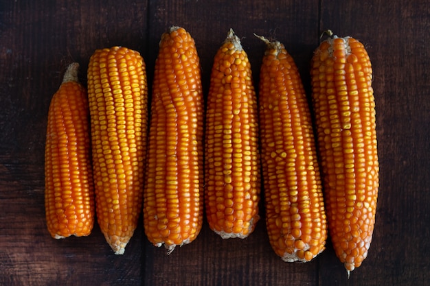 Top View Dried Corn on Wooden Background with Copy Space