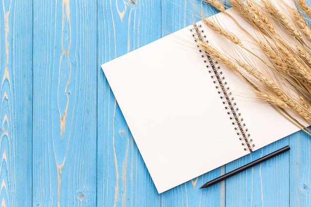 Top view of dried wheat crop on blue wooden board