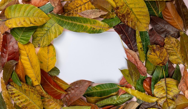 Top view of dry autumn leaves with copy space