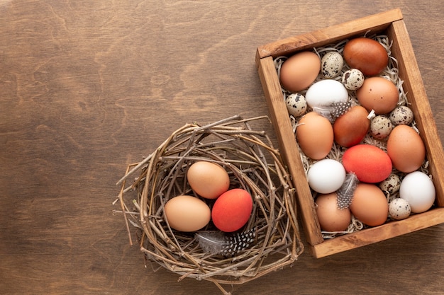 Top view of easter eggs in a box with feathers and next