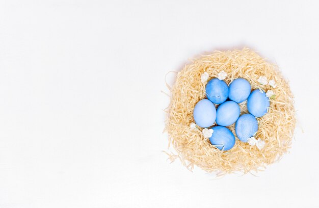 Top view on eggs in nest concept