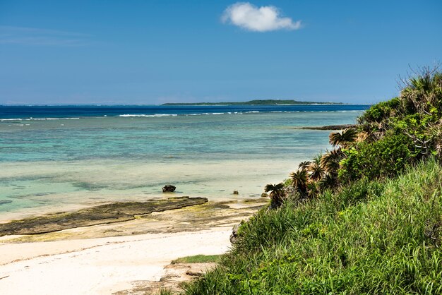 Top view of an emerald green sea coastal vegetation and Hatoma island in the background