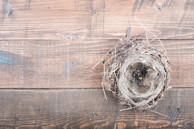 Вид сверху на пустое птичье гнездо на деревянном фоне