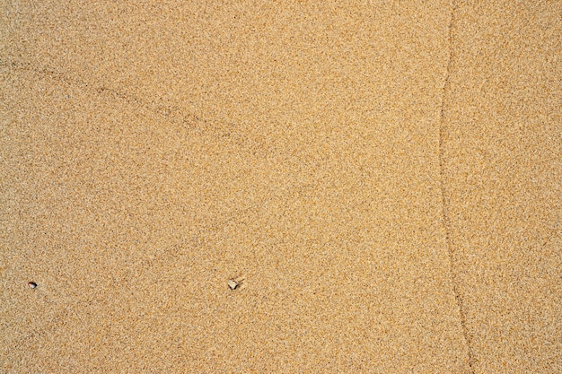 비어 있는 노란색 젖은 모래 해변의 최고 전망. 보이는 텍스처와 배경입니다. 여름에 근접 해변 모래입니다. 태국. 세분화 된 표면. 해변 풍경 배경 디자인입니다.
