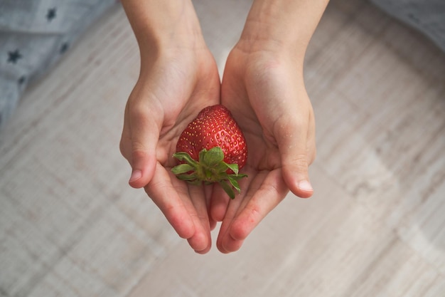 Top view of faceless person showing appetizing ripe strawberry with green leaves in cupped hands on blurred background