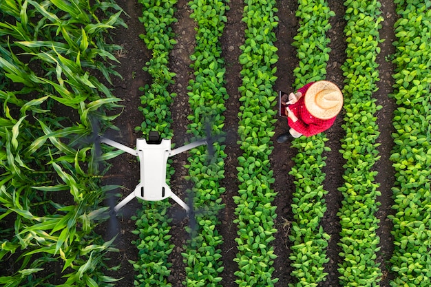 Top view of farmer standing in the field flying agricultural drone to monitor crops growth