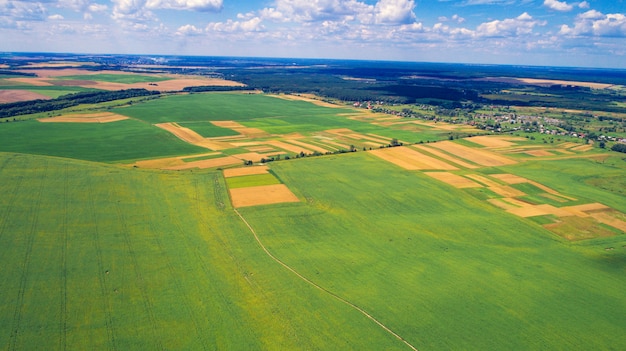 Photo top view of the farmhouses with gardens and the road