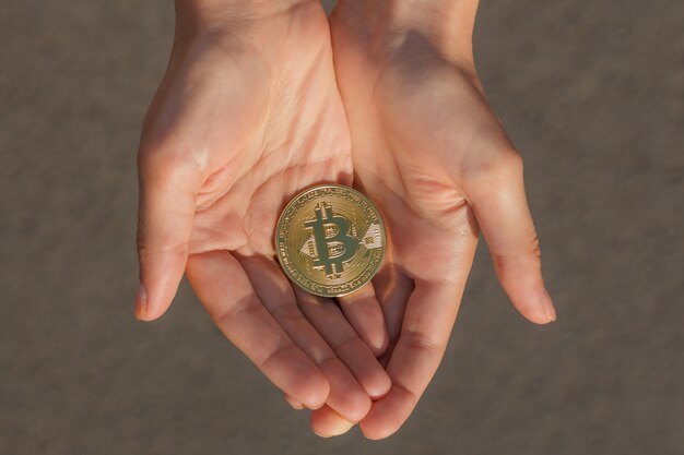 Top view of female hands holding many coins of bitcoin on a gray asphalt in the sun rays.