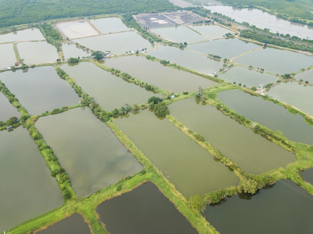 Top view Fish hatchery pond in Hong Kong